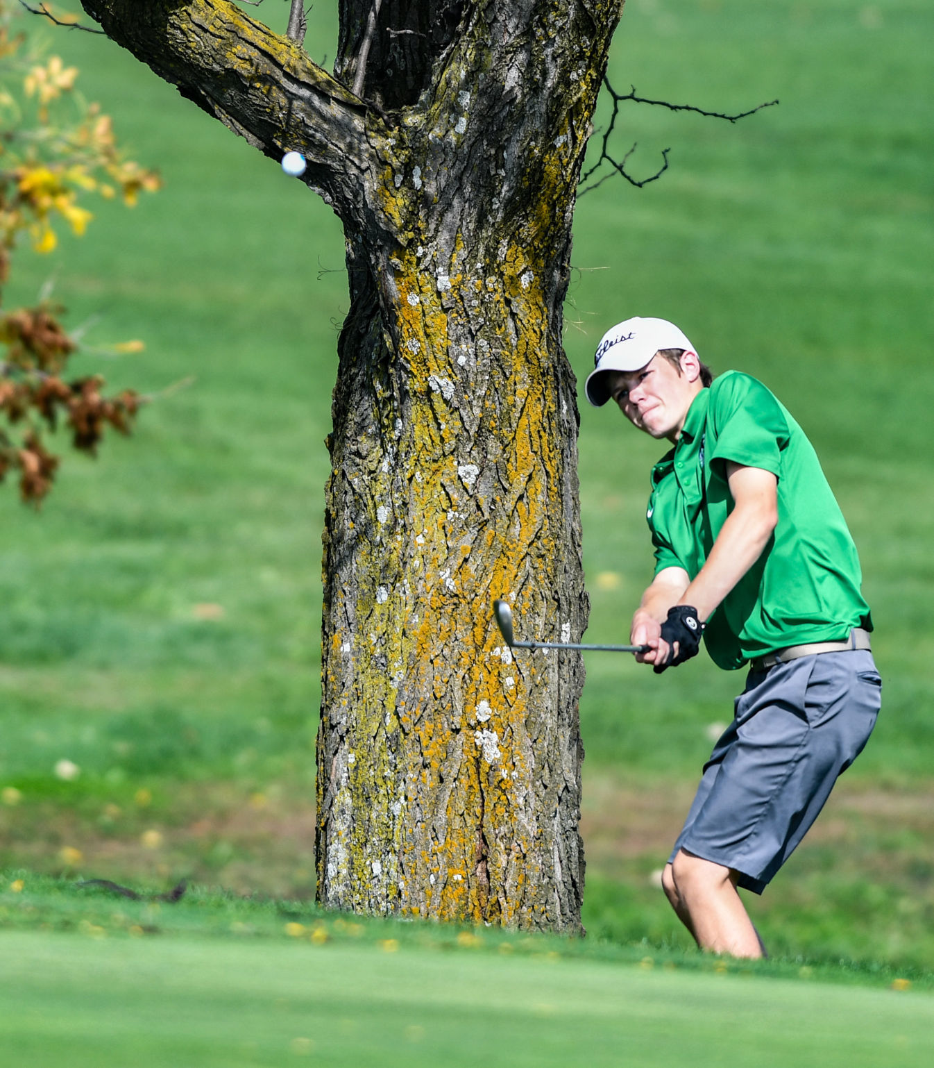 Aledo Class 1A Golf Sectional